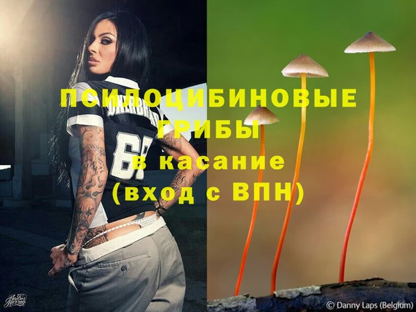 ECSTASY Медвежьегорск