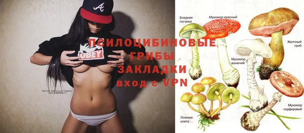 винт Михайлов