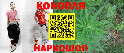 МДПВ Дубна