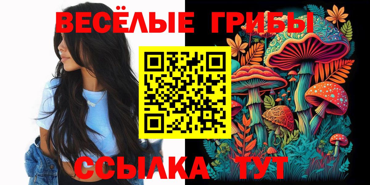 Псилоцибиновые грибы GOLDEN TEACHER  Вход с VPN  Псилоцибиновые грибы мицелий  Можайск 